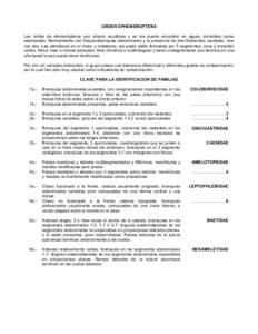 ORDEN EPHEMEROPTERA Las ninfas de efemerópteros son simpre acuáticas y se les puede encontrar en aguas corrientes como estancadas. Normalmente con traqueobranquias abdominales y la presencia de tres filamentos caudales