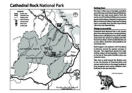 Cathedral Rock National Park 2008