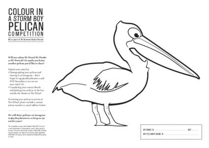 COLOUR IN  A STORM BOY PELICAN COMPETITION