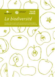 La biodiversité Ce que c’est, en quoi cela concerne notre alimentation quotidienne, ce que nous pouvons faire pour la préserver. 1