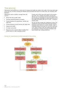 Tree pruning Maintenance work performed on trees aims to manage tree health and enhance the quality of the treed landscape across the city, as well as reducing the inherent risks associated with trees in an urban area, a