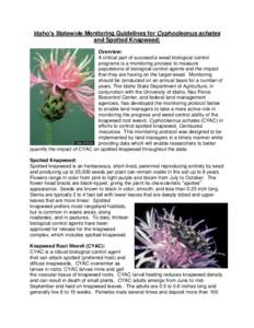 Idaho’s Statewide Monitoring Guidelines for Cyphocleonus achates and Spotted Knapweed: Overview: A critical part of successful weed biological control programs is a monitoring process to measure populations of biologic