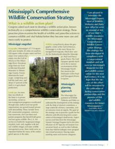 Subhead 1 Mississippi’s Comprehensive Wildlife Conservation Strategy Subhead 1