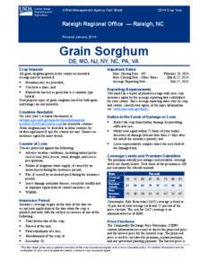 Grain Sorghum Crop Insurance in Delaware, Maryland, New Jersey, New York, North Carolina, Pennsylvania, and Virginia