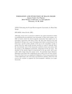 FORMATION AND EVOLUTION OF BLACK HOLES Aspen Center for Physics 2010 Winter Conference on Astrophysics February 14–20, 2010  TITLE: Estimating the Prompt Electromagnetic Luminosity of a Black Hole