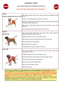 CATEGORY 1 DOGS NOT REGISTERED IN A PEDIGREE RECORD MAY NOT BE IMPORTED INTO FRANCE Pitt-bull Small dog of variable colour, with a chest circumference of between 60 and