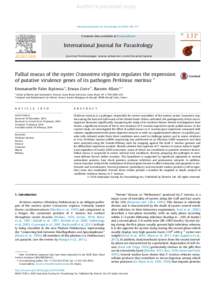 Programmed cell death / Peptidase / Posttranslational modification / Organelles / Protease / Perkinsus marinus / Caspase / Serine protease / Immune system / Biology / Cell biology / Apoptosis