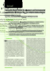 Environment / Biodiesel / Jatropha / Biofuel / Bati / Biofuel in India / Sustainable biofuel / Medicinal plants / Vegetable oils / Sustainability