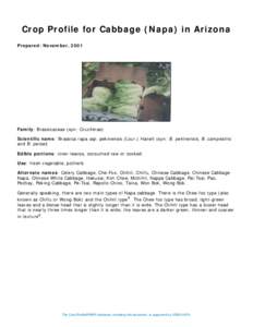 Crop Profile for Cabbage (Napa) in Arizona Prepared: November, 2001 Family: Brassicaceae (syn: Cruciferae) Scientific name: Brassica rapa ssp. pekinensis (Lour.) Hanelt (syn: B. pekinensis, B. campestris and B. petsai)