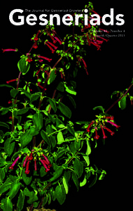 Gesneriad Society / Sinningia / Streptocarpus / Cultivar / F1 hybrid / Columnea / Kohleria / Saintpaulia / Seemannia / Gesneriaceae / Botany / Biology