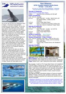 Whale / Tonga / Earth / Political geography / Water / Whale watching / Whaling / Telephone numbers in Tonga