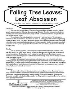 Falling Tree Leaves: Leaf Abscission by Dr. Kim D. Coder, School of Forest Resources, University of Georgia 12/99