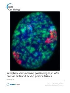Interphase chromosome positioning in in vitro porcine cells and ex vivo porcine tissues Foster et al. Foster et al. BMC Cell Biology 2012, 13:30 http://www.biomedcentral.com[removed]
