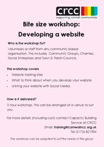 Bitesize developing a website general poster