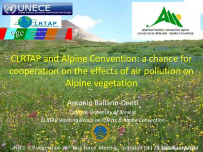 CLRTAP and Alpine Convention: a chance for cooperation on the effects of air pollution on Alpine vegetation Antonio Ballarin-Denti Catholic University of Brescia CLRTAP Working Group on Effects & Alpine Convention