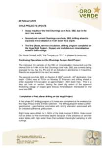 29 February 2012 CHILE PROJECTS UPDATE • Assay results of the first Chuminga core hole, SB2, due in the next two weeks.