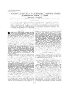 Ladinian / Norian / Pterioida / Auricle / Biology / Triassic / Carnian / Bivalvia