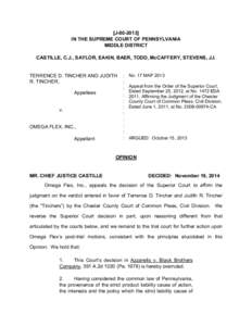 [J[removed]IN THE SUPREME COURT OF PENNSYLVANIA MIDDLE DISTRICT CASTILLE, C.J., SAYLOR, EAKIN, BAER, TODD, McCAFFERY, STEVENS, JJ.  TERRENCE D. TINCHER AND JUDITH