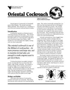 Identification Cockroaches typically are flattened insects with long antennae and spiny legs. The oriental cockroach is dark brown to almost black in color. The adult males are 1-inch long with wings about three-fourths 