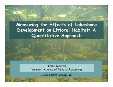 Lakeshore Development’s affect on Shallow Water Habitat