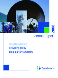 2008  annual report celebrating yesterday  delivering today