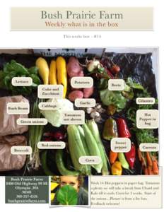 Bush Prairie Farm Weekly what is in the box This weeks box - #14 Lettuce