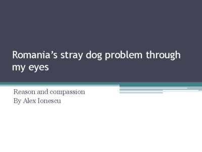 Romania’s stray dog problem through my eyes Reason and compassion By Alex Ionescu  Who I am
