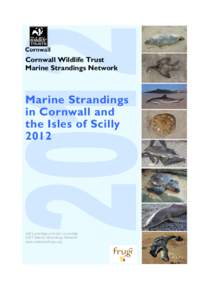 Cornwall Wildlife Trust Marine Strandings Network Marine Strandings in Cornwall and the Isles of Scilly