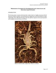 Prashant	
  P.	
  Sharma	
   Scorpion	
  maintenance	
  and	
  dissection	
  protocol	
     Maintenance	
  of	
  scorpions	
  for	
  developmental	
  work:	
  General	
  care	
  and	
   dissection	
  o