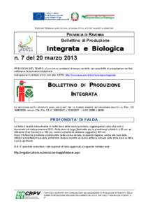 DIREZIONE GENERALE AGRICOLTURA, ECONOMIA ITTICA, ATTIVITÀ FAUNISTICO-VENATORIE  PROVINCIA DI RAVENNA Bollettino di Produzione