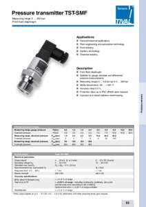 Pressure transmitter TST-SMF Measuring range 0 … 200 bar Front-flush diaphragm Applications n