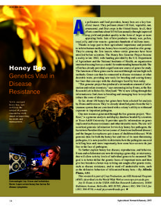 PEGGY GREB (D673-1)  A Honey Bee Genetics Vital in Disease