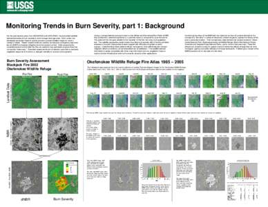 Monitoring Trends in Burn Severity, part 1: Background For the past several years, the USGS/EROS and USFS/RSAC have provided satellitederived estimates of burn severity to land management agencies. Each center has develo