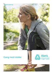 Patientvejledning  Gang med stokke Gang med to krykkestokke (3 punkts gang) Start med at sætte de to krykke­