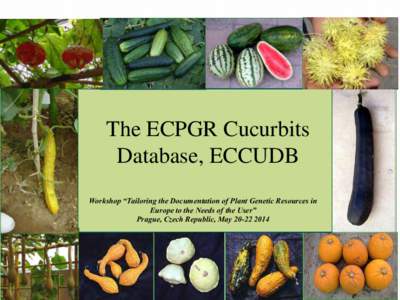 Current state of the European Central Cucurbits Database ECCUDB