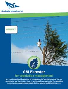 Integrates with GE Smallworld GIS and several other systems. GSI Forester