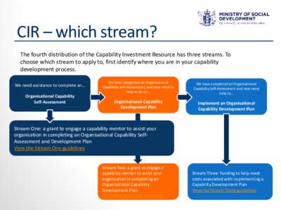 CIR – which stream? The fourth distribution of the Capability Investment Resource has three streams. To choose which stream to apply to, first identify where you are in your capability development process. We need assi