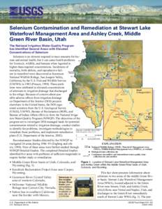 Selenium Contamination and Remediation at Stewart Lake Waterfowl Management Area and Ashley Creek, Middle Green River Basin, Utah Bla cks F ork