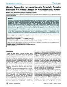 Gender Separation Increases Somatic Growth in Females but Does Not Affect Lifespan in Nothobranchius furzeri Michael Graf1, Alessandro Cellerino2, Christoph Englert1* 1 Molecular Genetics, Leibniz Institute for Age Resea