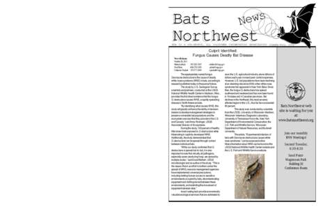 s w Ne Become a Bats Northwest Member Join us in the adventure to learn more about our bat neighbors!