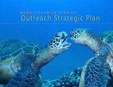 N O A A F I S H E R I E S S E R V I C E  Outreach Strategic Plan 1