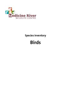 Species Inventory  Birds Greater White-fronted Goose Anser albifrons