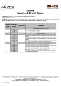Spinach Sampling & Growth Stages Timing: Begin sampling at stage 1.9 and continue fortnightly to stage 4.5 Sample volume: 40 leaves Sampling: Collect the Youngest Fully Expanded Leaf (YFEL) including petiole (stalk) from