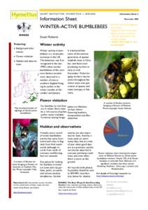 JOINT INITIATIVE: HYMETTUS — BWARS  Information Sheet 2 Information Sheet WINTER-ACTIVE BUMBLEBEES