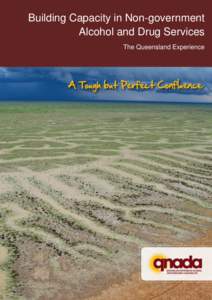 Building Capacity in Non-government Alcohol and Drug Services The Queensland Experience Building Capacity in Non-government Alcohol and Drug Services – The Queensland Experience. A Tough but Perfect Confluence.