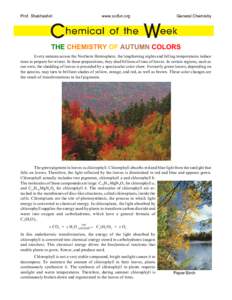 Botany / Photosynthesis / Plant physiology / Tetrapyrroles / Pigmentation / Chlorophyll / Autumn leaf color / Biological pigment / Anthocyanin / Biology / Chemistry / Photosynthetic pigments