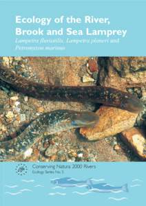 Ecology of the River, Brook and Sea Lamprey Lampetra fluviatilis, Lampetra planeri and Petromyzon marinus  Conserving Natura 2000 Rivers