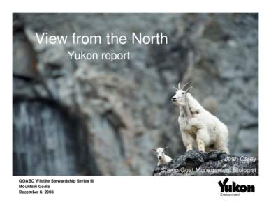 View from the North Yukon report Jean Carey Sheep/Goat Management Biologist GOABC Wildlife Stewardship Series III