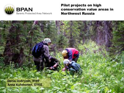 Pilot projects on high conservation value areas in Northwest Russia Denis Dobrynin, WWF Anna Kuhmonen, SYKE