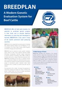 BREEDPLAN A Modern Genetic Evaluation System for Beef Cattle BREEDPLAN offers all beef cattle breeders the potential to accelerate genetic progress